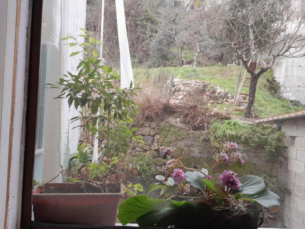 Vila Antichi Sapori Da Speranza Gavoi Pokoj fotografie