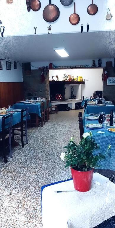 Vila Antichi Sapori Da Speranza Gavoi Exteriér fotografie